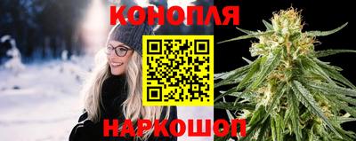 шишки Пыть-Ях