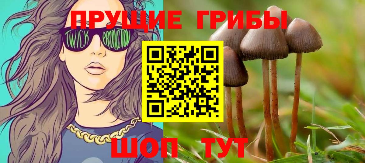 Псилоцибиновые грибы мухоморы Кореновск